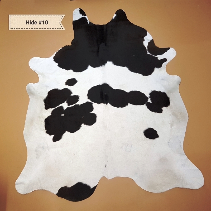 Texas Longhorn horns and hides for sale